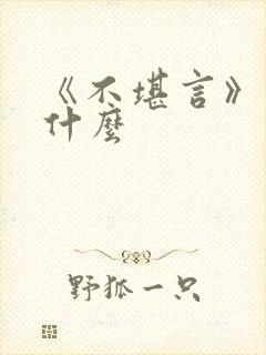 《不堪言》讲的什么封面