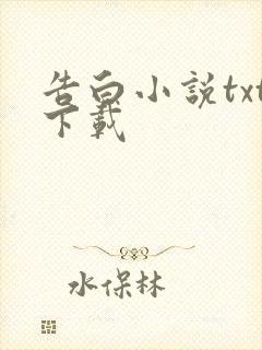 告白小说txt下载
