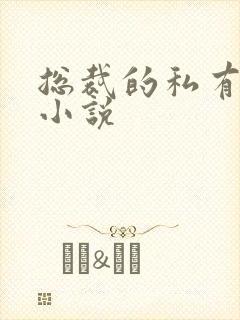 总裁的私有宝贝小说