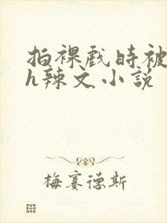 拍裸戏时被c了h辣文小说封面