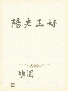 阳光正好封面