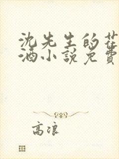 沈先生的花式调酒小说免费阅读