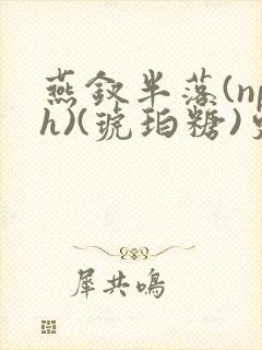 燕钗半落(nph)(琥珀糖)更新封面