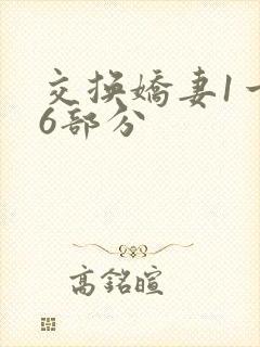 交换娇妻1一36部分