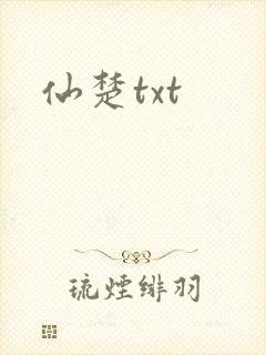 仙楚txt封面