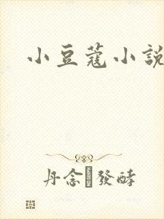 小豆蔻小说