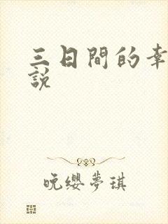 三日间的幸福小说封面