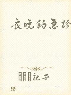 夜晚的急诊室2