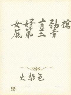 女婿有劲枪枪到底第三章
