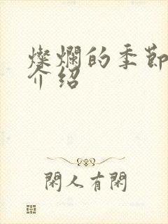 灿烂的季节剧情介绍封面