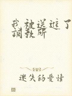 我被送进了私奴调教所