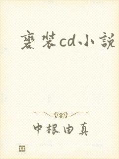 变装cd小说封面