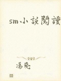 sm小说阅读封面