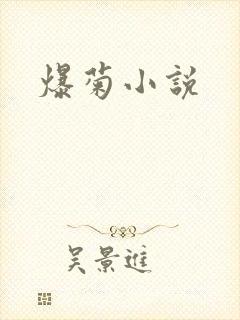 爆菊小说