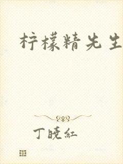 柠檬精先生