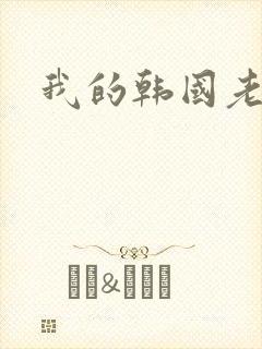 我的韩国老婆封面