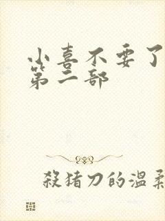 小喜不要了好大第二部封面