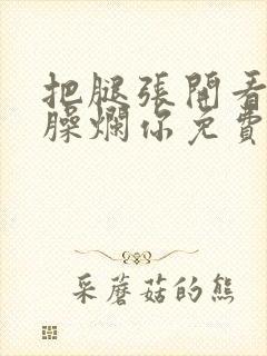 把腿张开看老子臊烂你免费