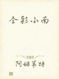 全彩小南封面