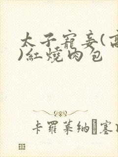 太子宠妾(高肉)红烧肉包