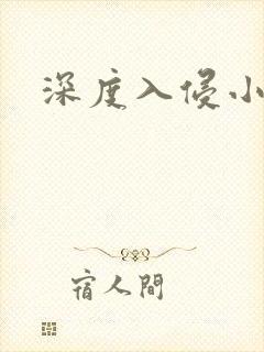 深度入侵小说