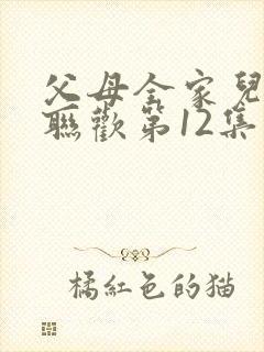 父母全家儿女大联欢第12集