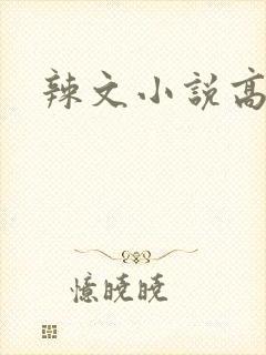 辣文小说高h
