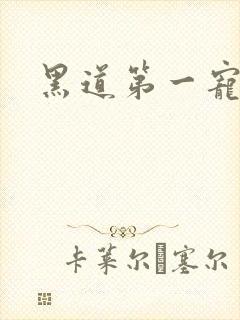 黑道第一宠婚封面