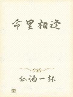 命里相逢封面