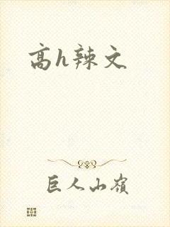 高h辣文