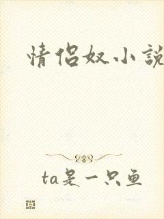 情侣奴小说