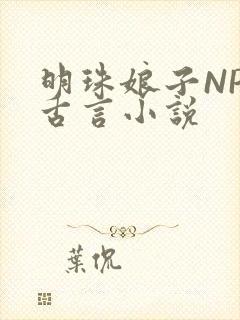 明珠娘子NPC古言小说封面