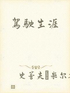 驾驶生涯