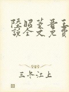 陆昭菱晋王的小说全文免费阅读