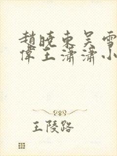 赵晓东吴雪晴郑伟王潇潇小说