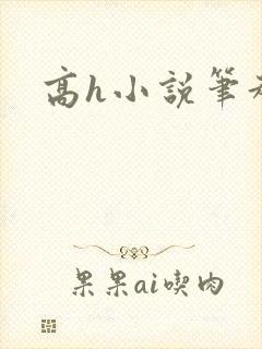 高h小说笔趣阁