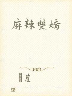 麻辣双娇封面