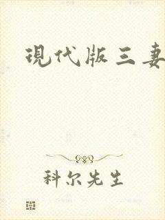 现代版三妻四妾