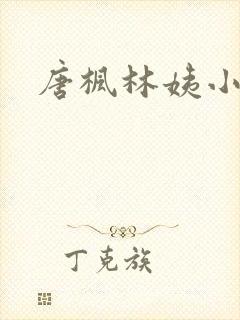 唐枫林姨小说