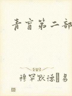 青盲第二部封面