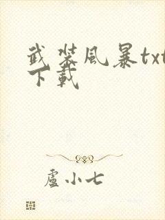 武装风暴txt下载