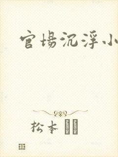 官场沉浮小说