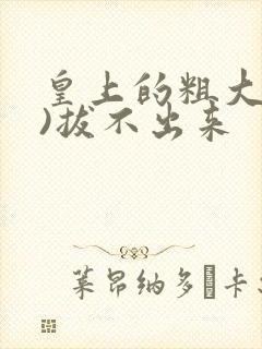 皇上的粗大(h)拔不出来