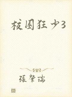 校园狂少3