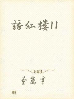 诱红楼11
