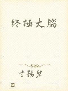 终极大脑