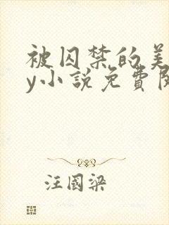 被囚禁的美人by小说免费阅读