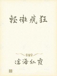 轻微疯狂封面