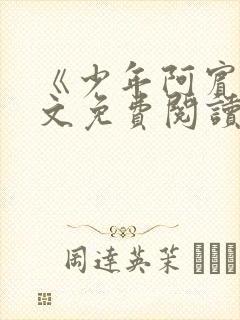《少年阿宾》全文免费阅读