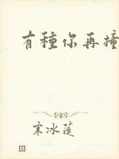 有种你再撞一下